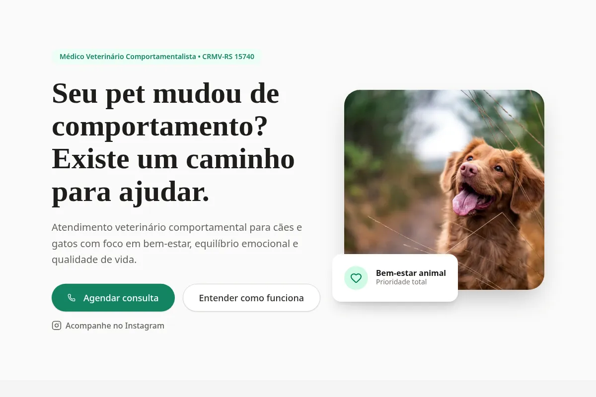 Primeira tela do site profissional de Humberto Schmidt